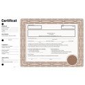 certificat action brun